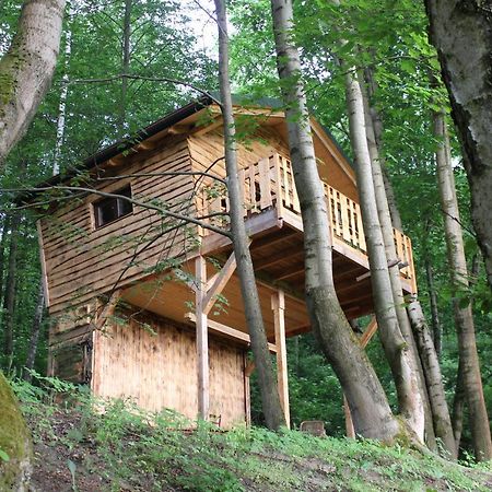 Treehouse Velké Losiny Exteriör bild