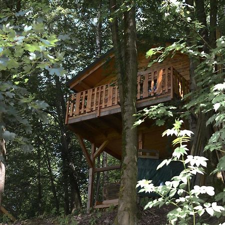 Treehouse Velké Losiny Exteriör bild