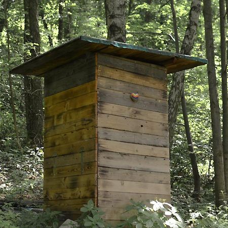 Treehouse Velké Losiny Exteriör bild
