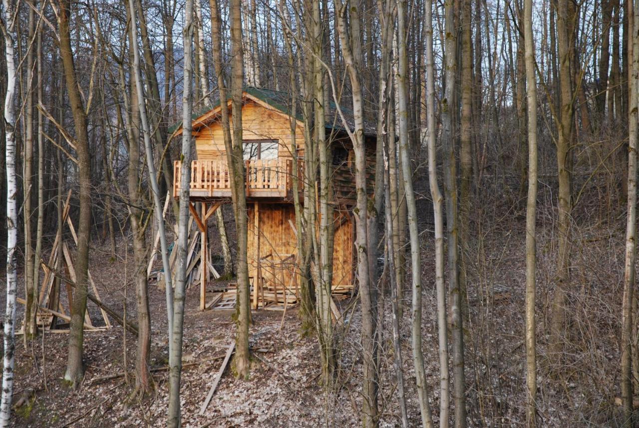 Treehouse Velké Losiny Exteriör bild