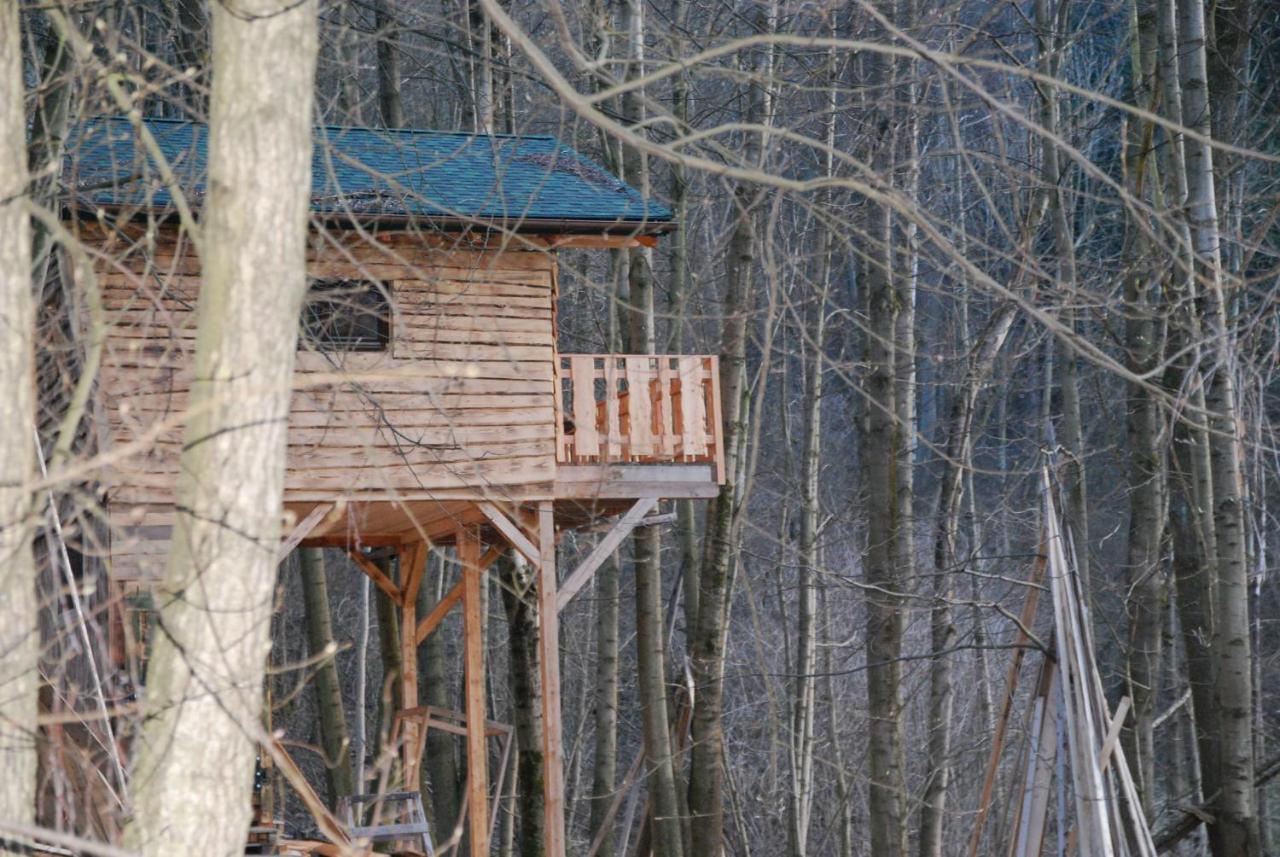 Treehouse Velké Losiny Exteriör bild