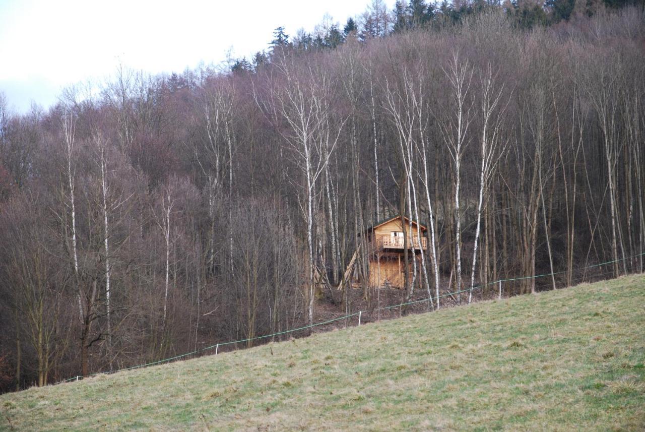 Treehouse Velké Losiny Exteriör bild