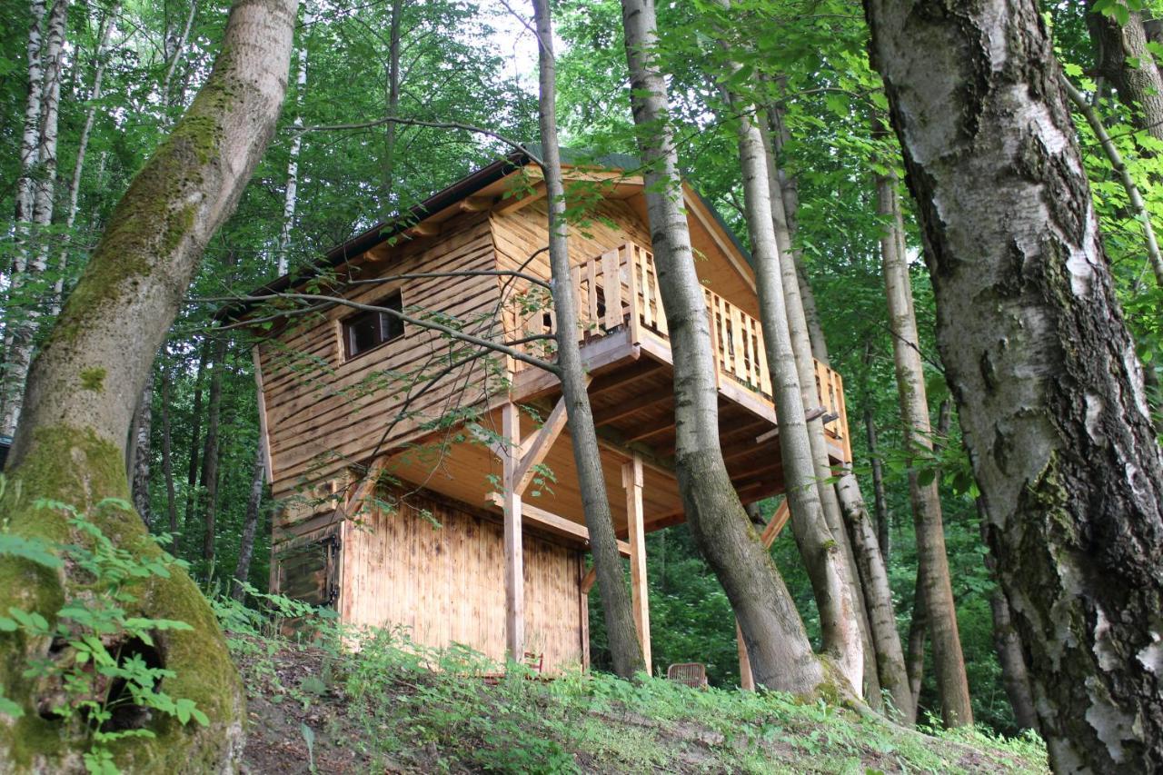 Treehouse Velké Losiny Exteriör bild