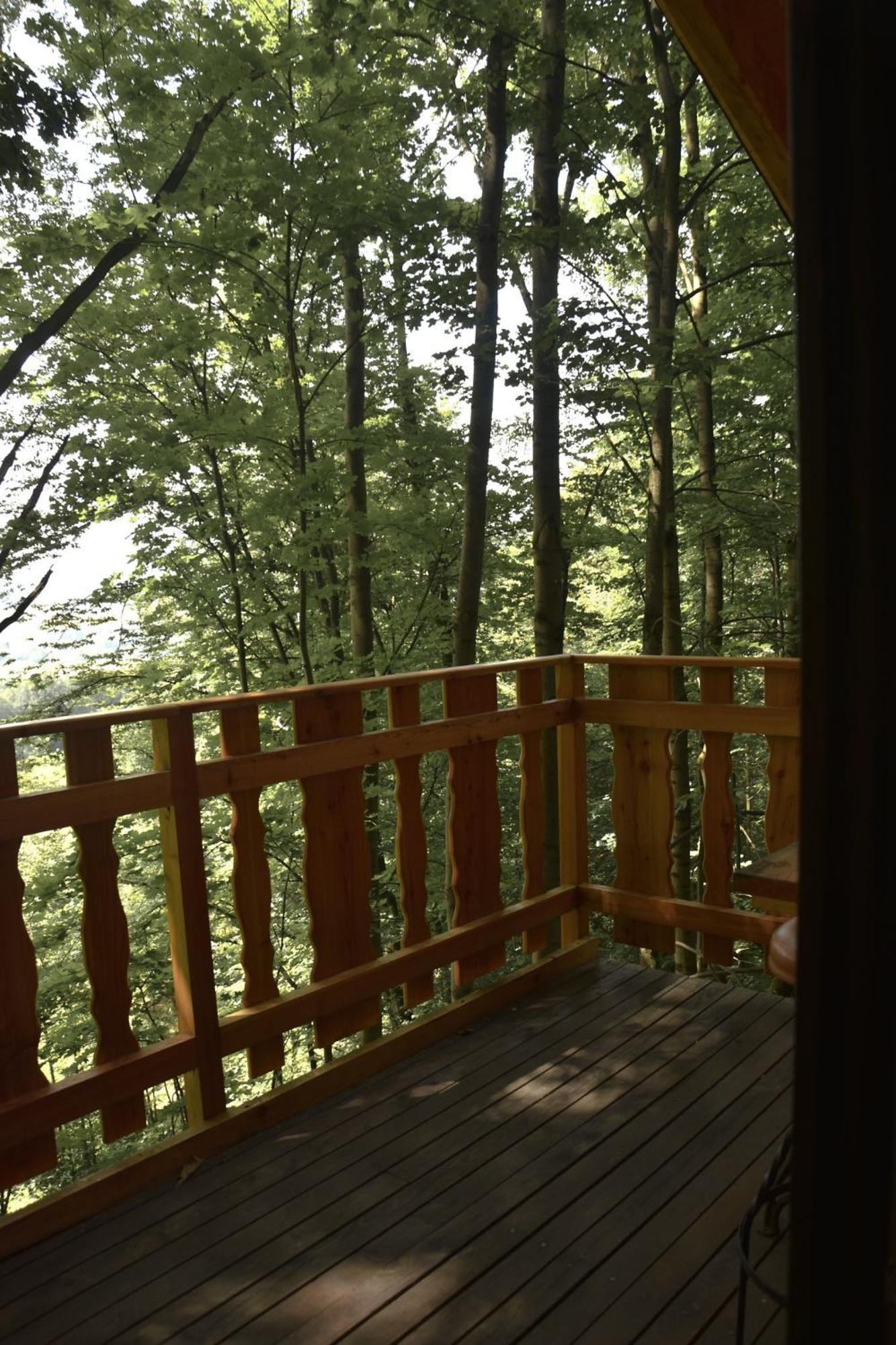 Treehouse Velké Losiny Exteriör bild