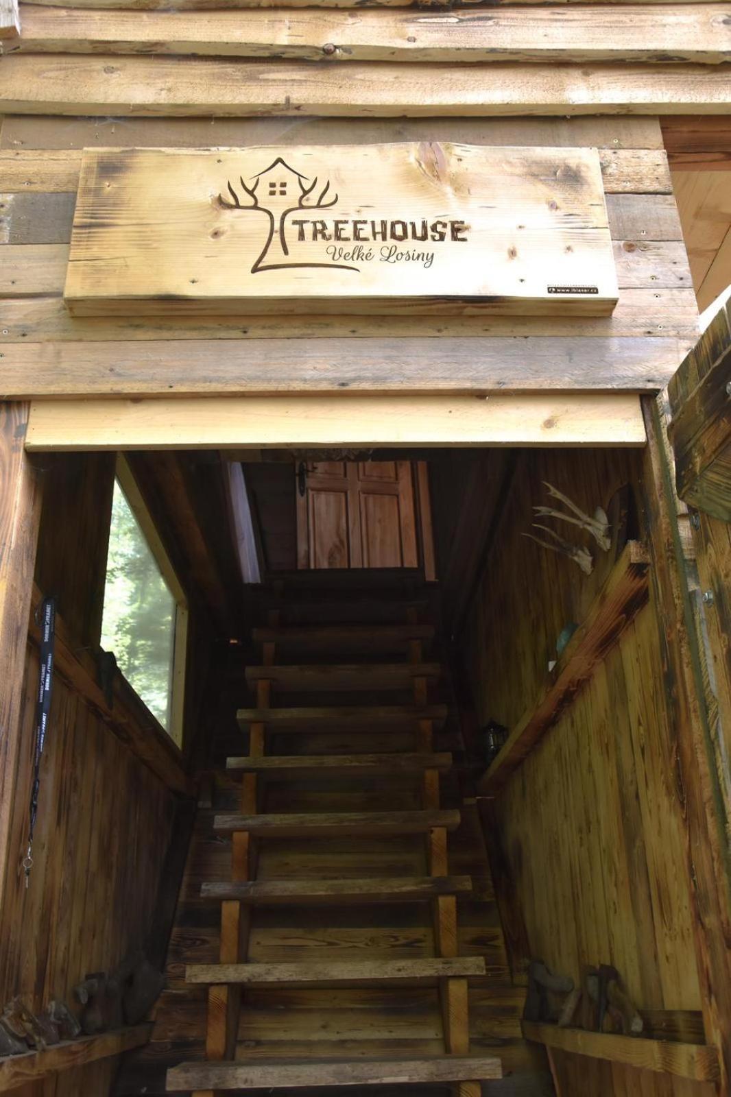Treehouse Velké Losiny Exteriör bild