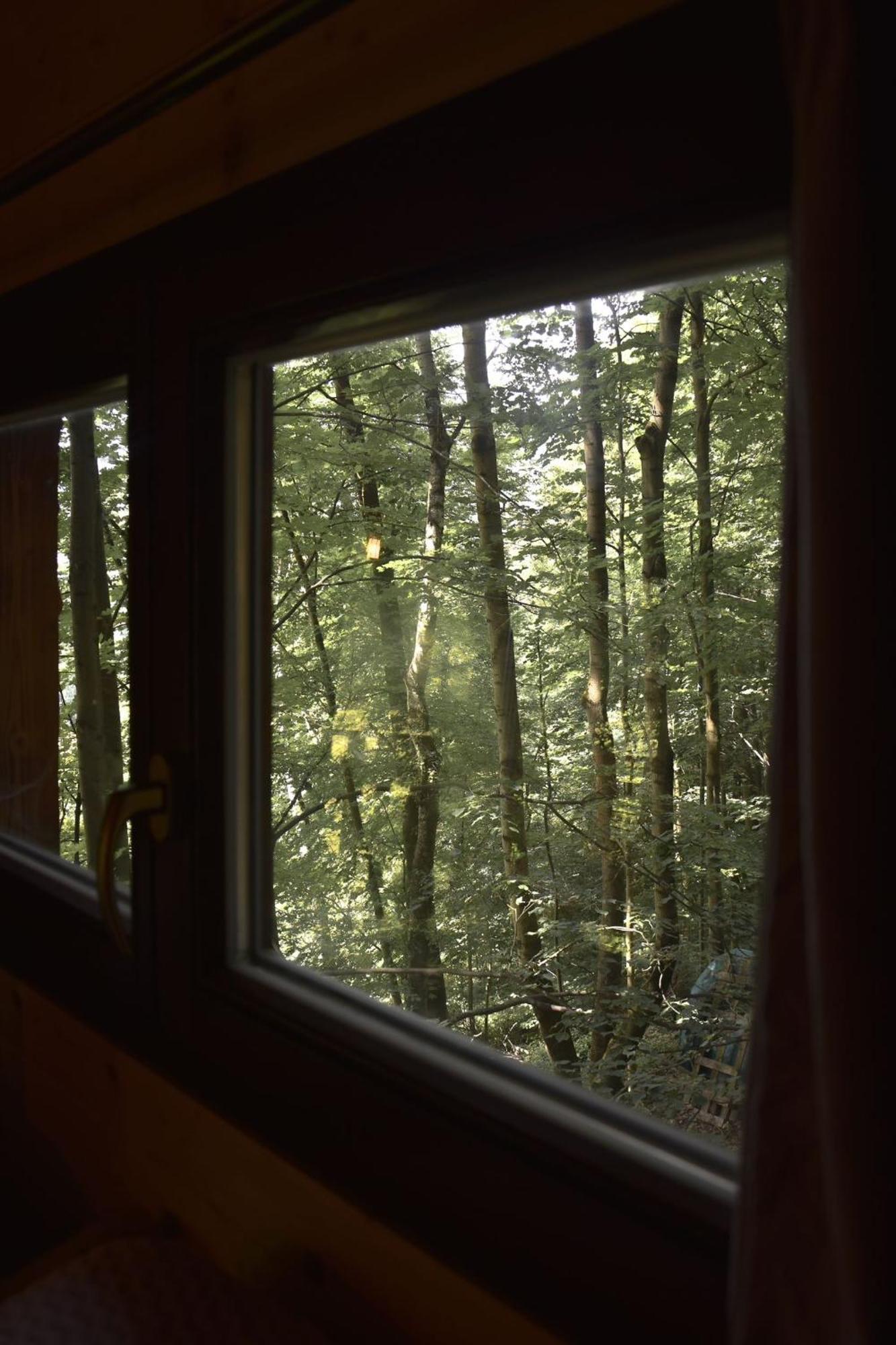 Treehouse Velké Losiny Exteriör bild